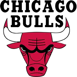 Chicago Bulls logo