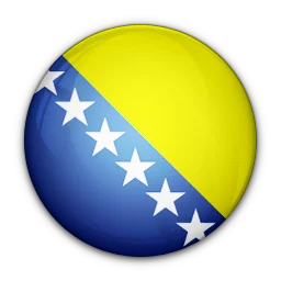 Bosnia and Herzegovina logo