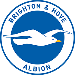 Brighton & Hove Albion logo