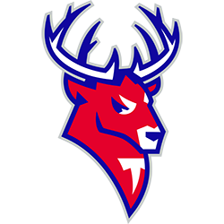 Torpedo Nizhny Novgorod logo